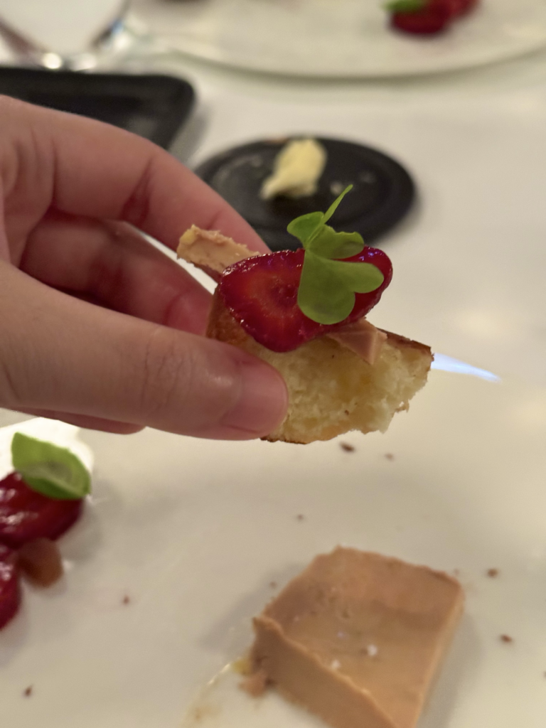 Person holding a piece of toast and foie gras. 