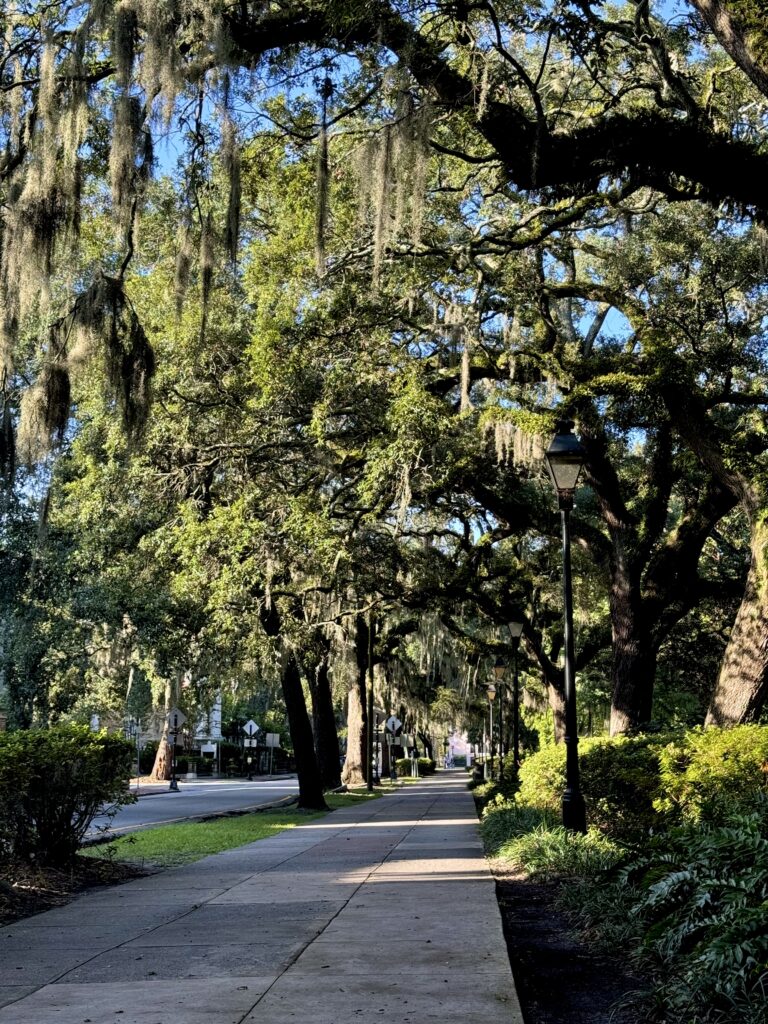 Explore Savannah by strolling down the sidewalk surrounded by live oaks. 