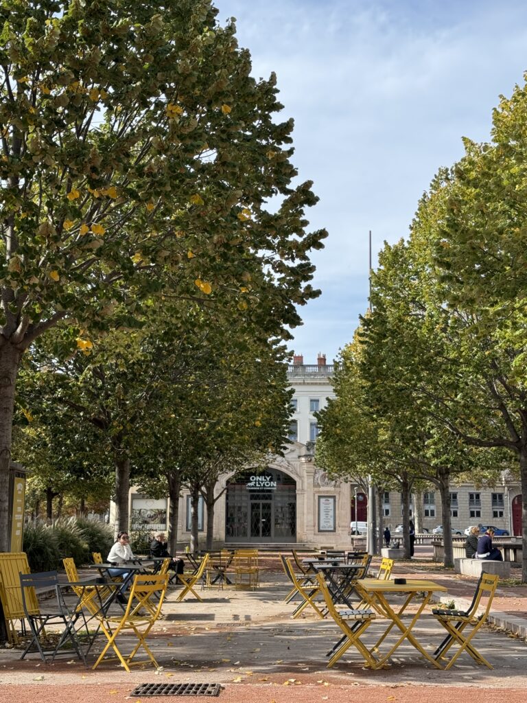 view of outdoor cafe terrace surrounded by trees